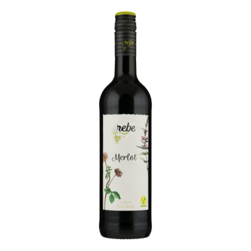 Rebe Merlot
